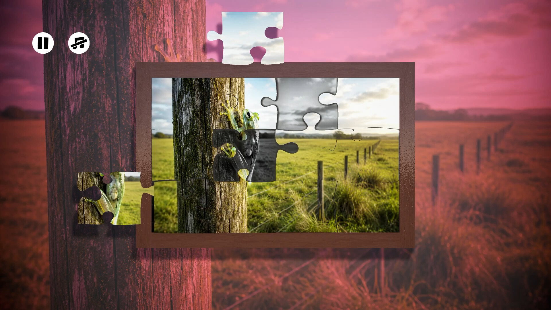 Puzzles Frogs screenshot 3