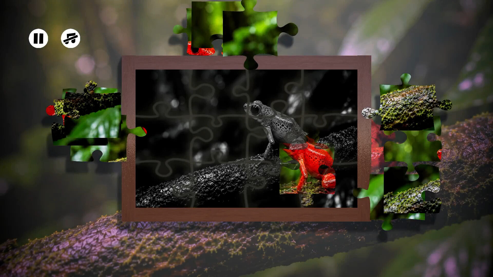 Puzzles Frogs trailer