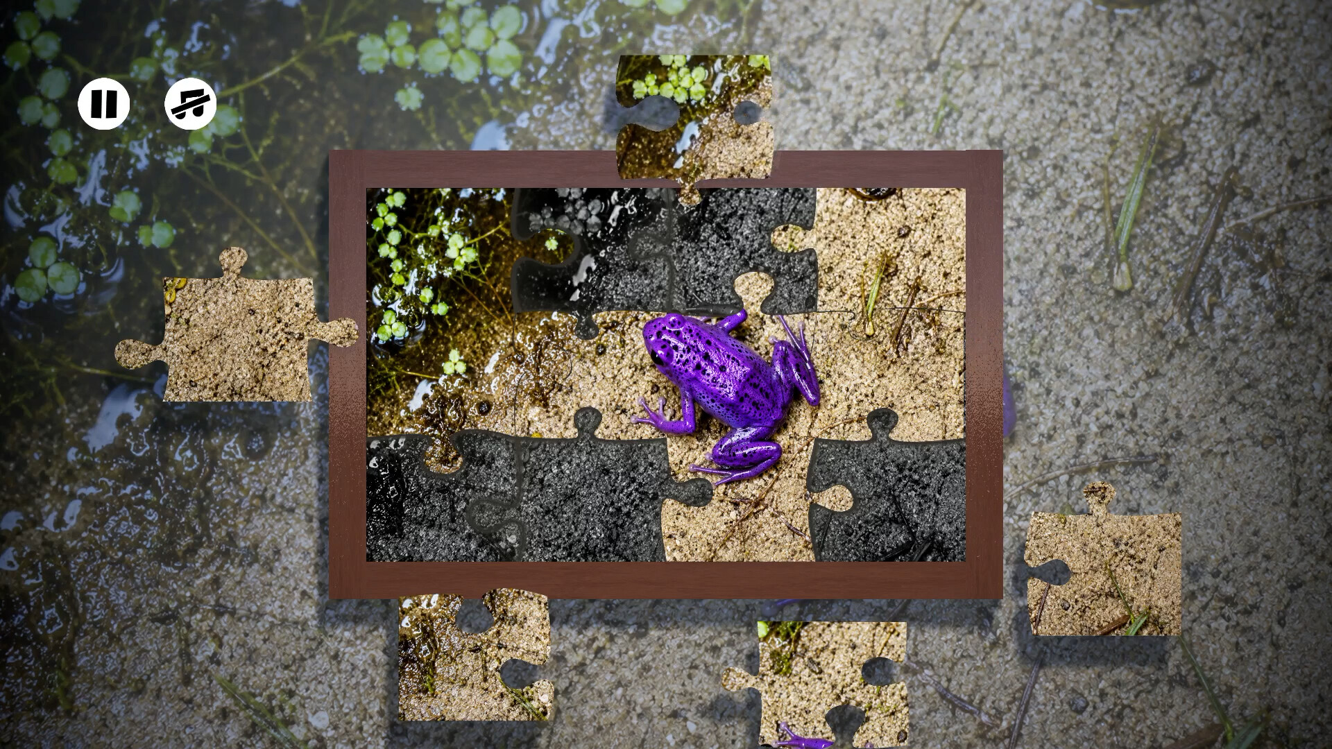 Puzzles Frogs screenshot 5