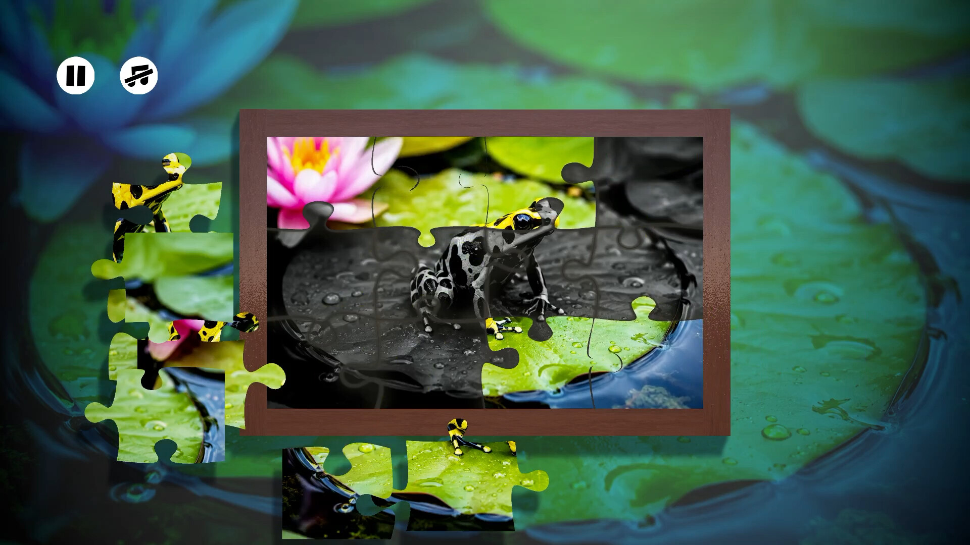 Puzzles Frogs screenshot 2