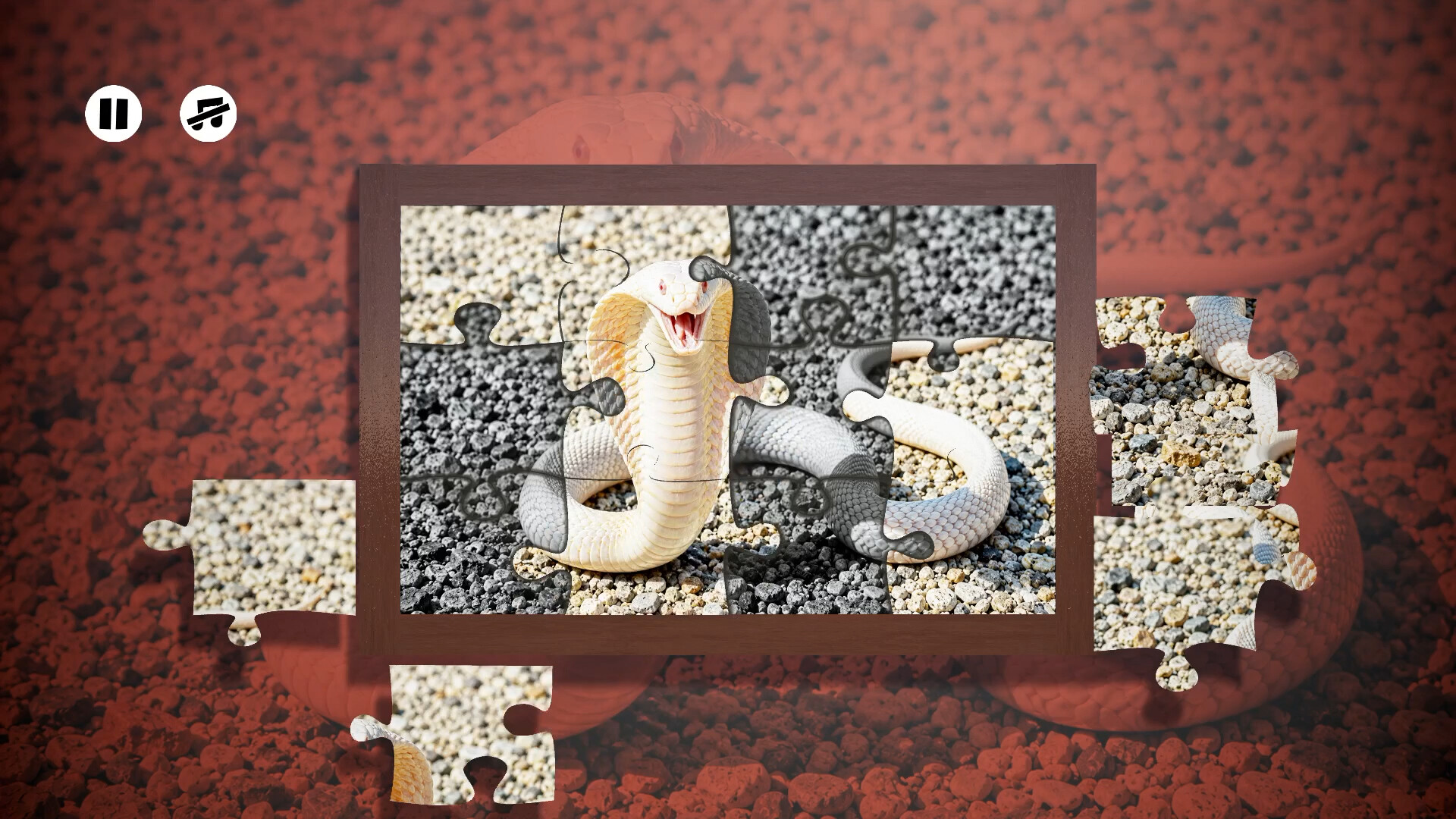 Puzzles Reptiles screenshot 5