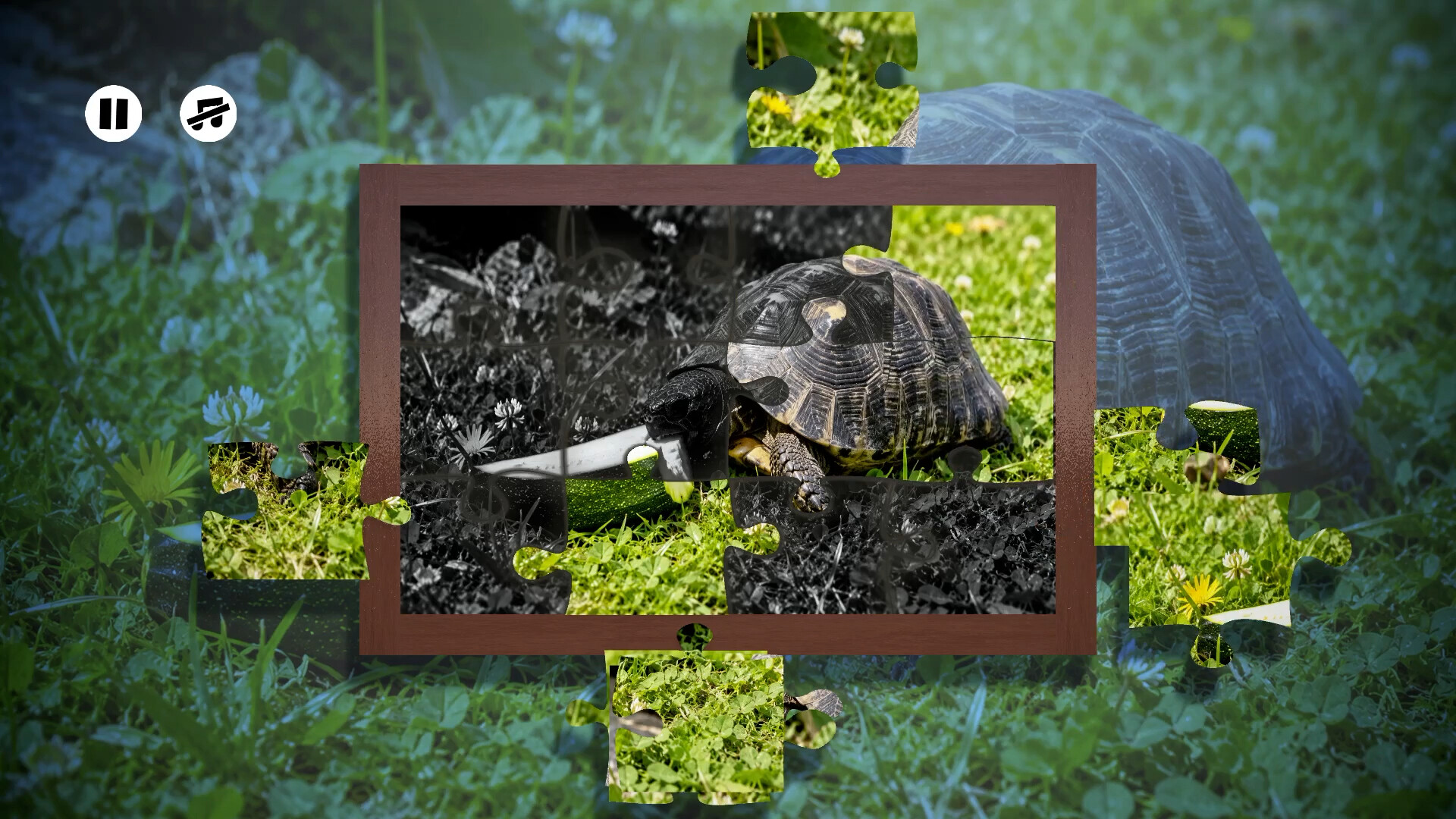 Puzzles Reptiles trailer