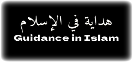 Cover art from Guidance in Islam