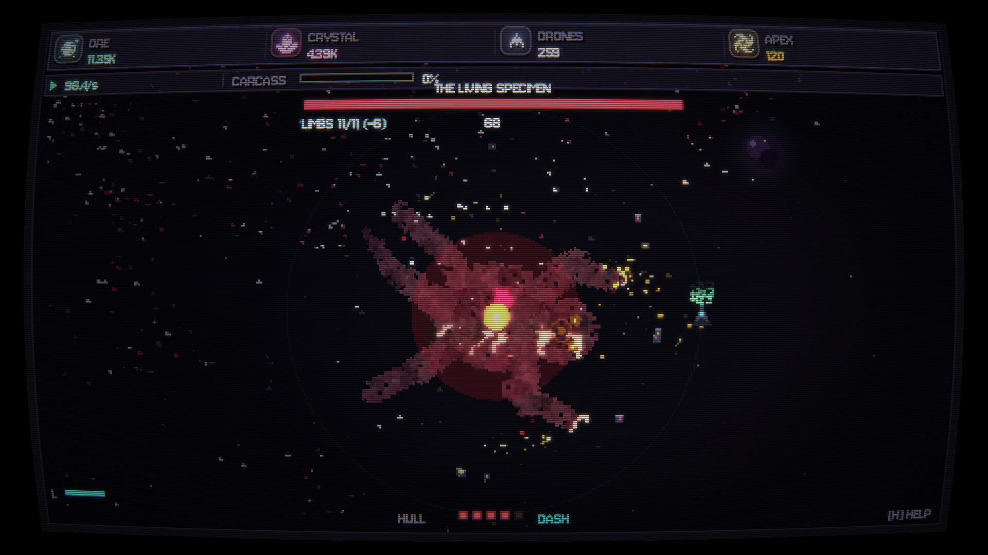 ECHIDNA screenshot 2