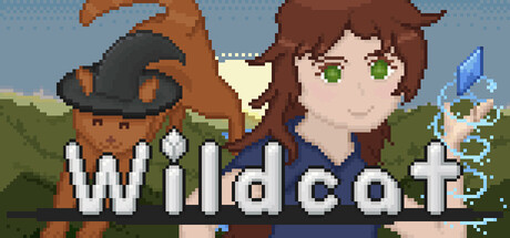 Cover art from Wildcat