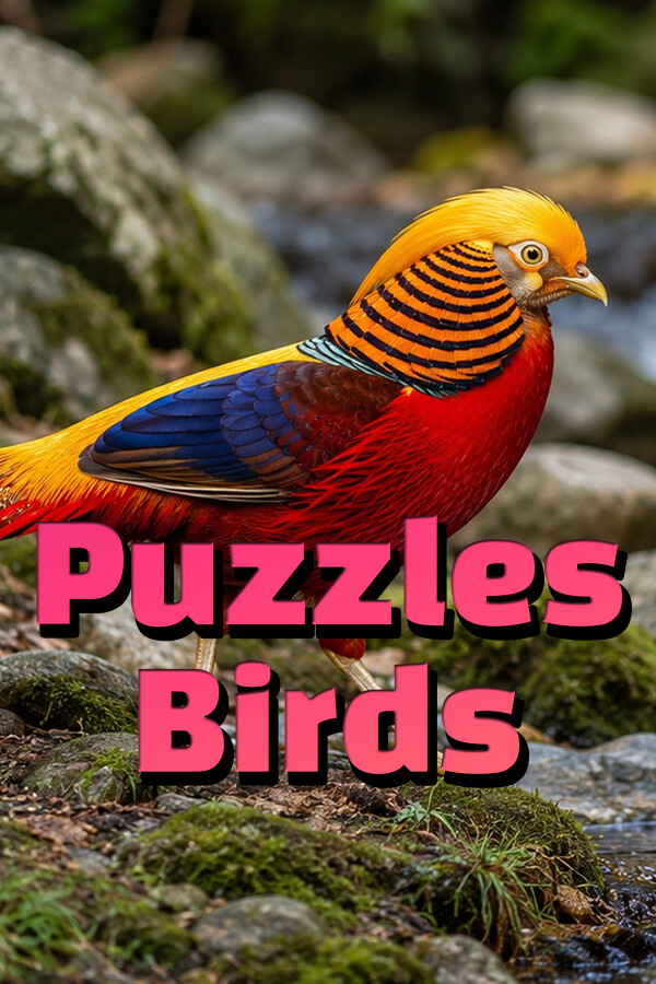 Puzzles Birds