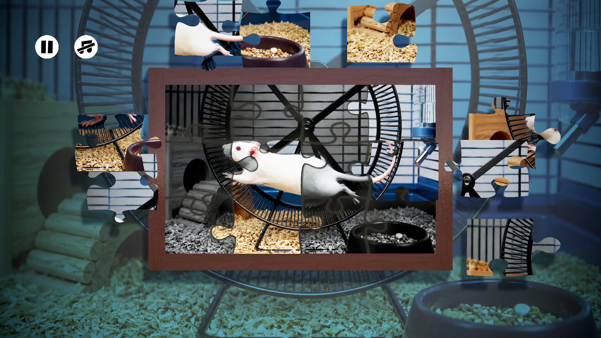 Puzzles Rats screenshot 5