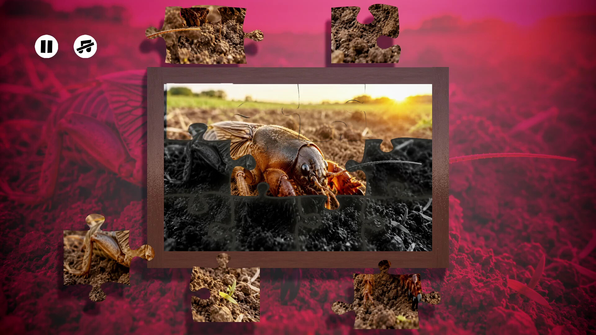 Puzzles Insect screenshot 5