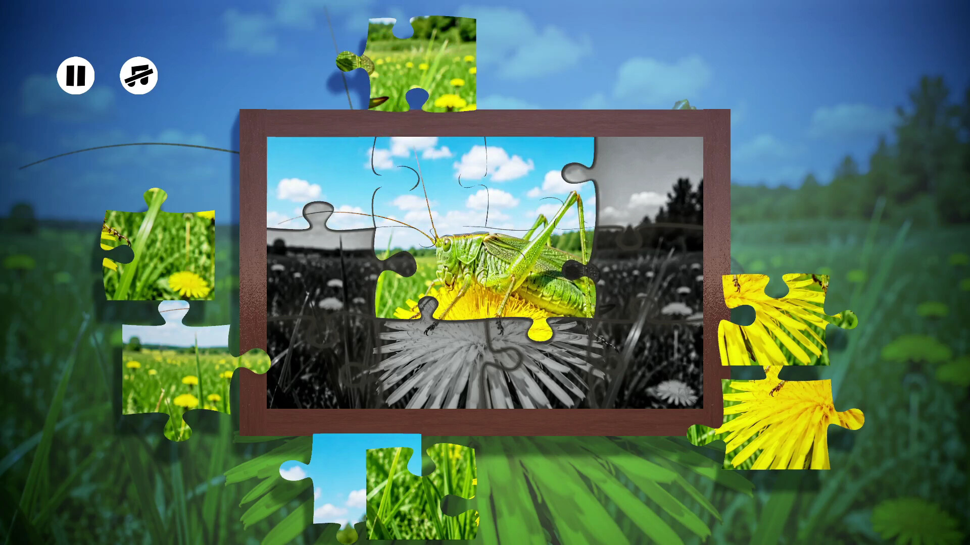 Puzzles Insect screenshot 4