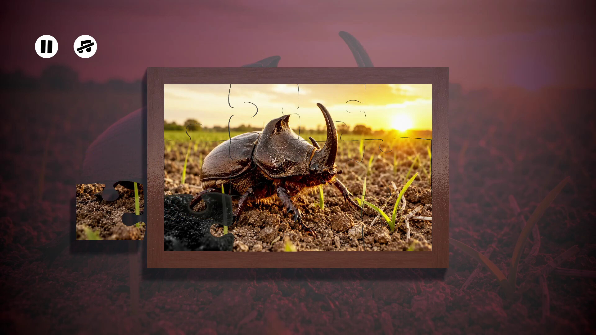 Puzzles Insect screenshot 3