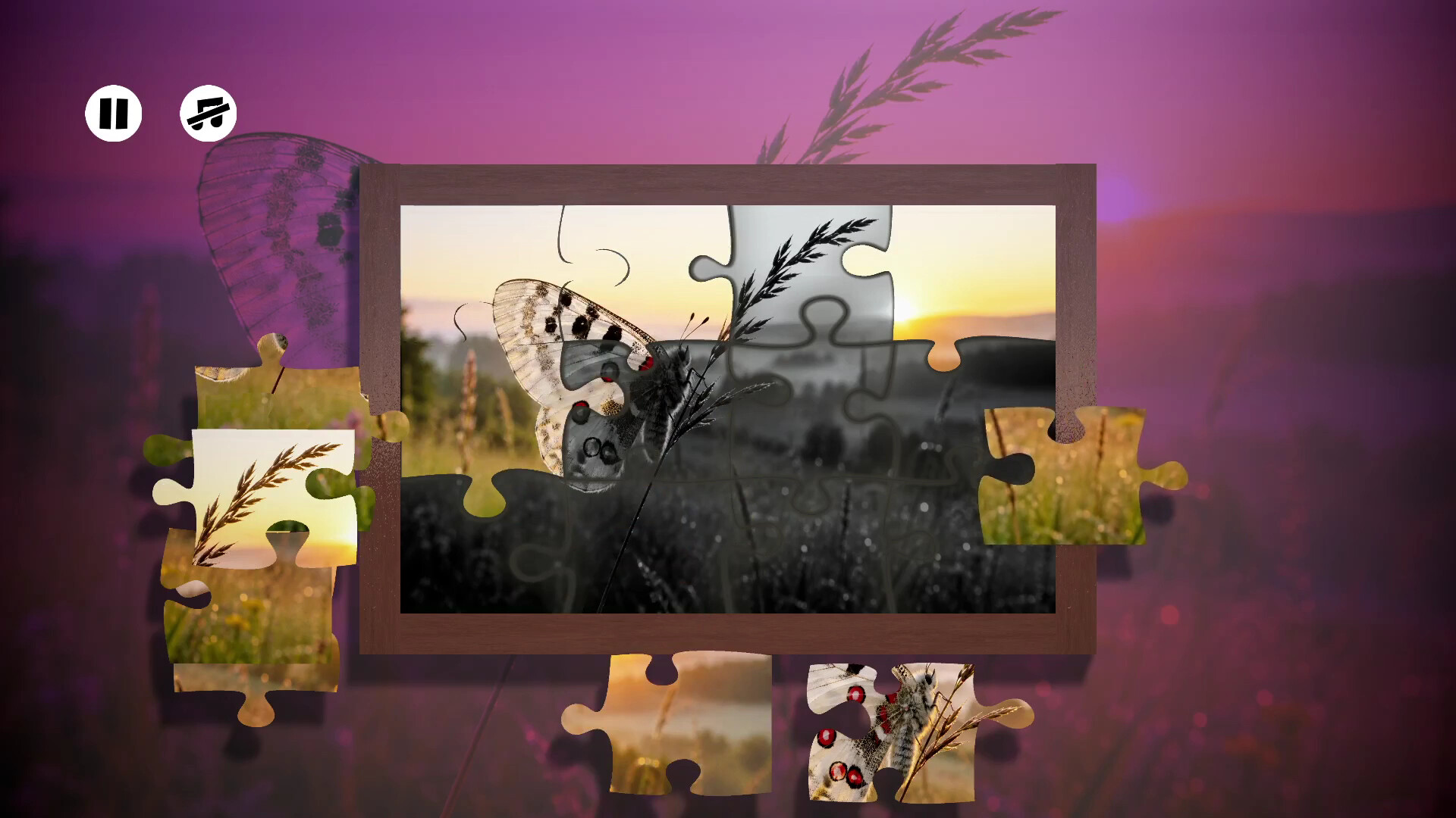 Puzzles Insect trailer