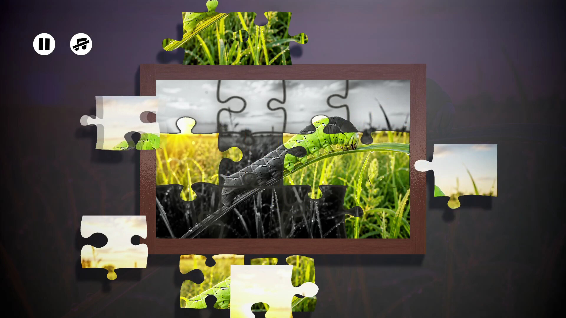 Puzzles Insect screenshot 2