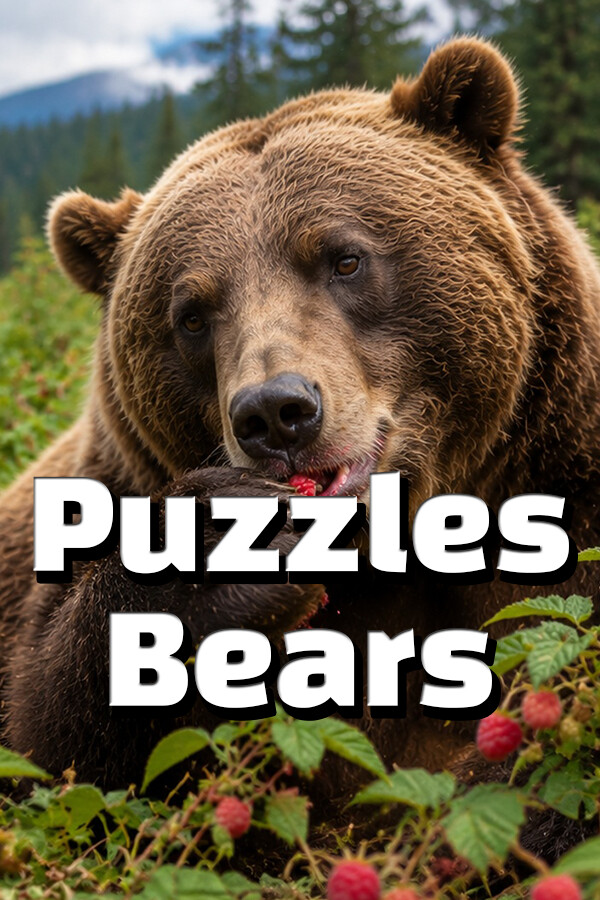 Puzzles Bears