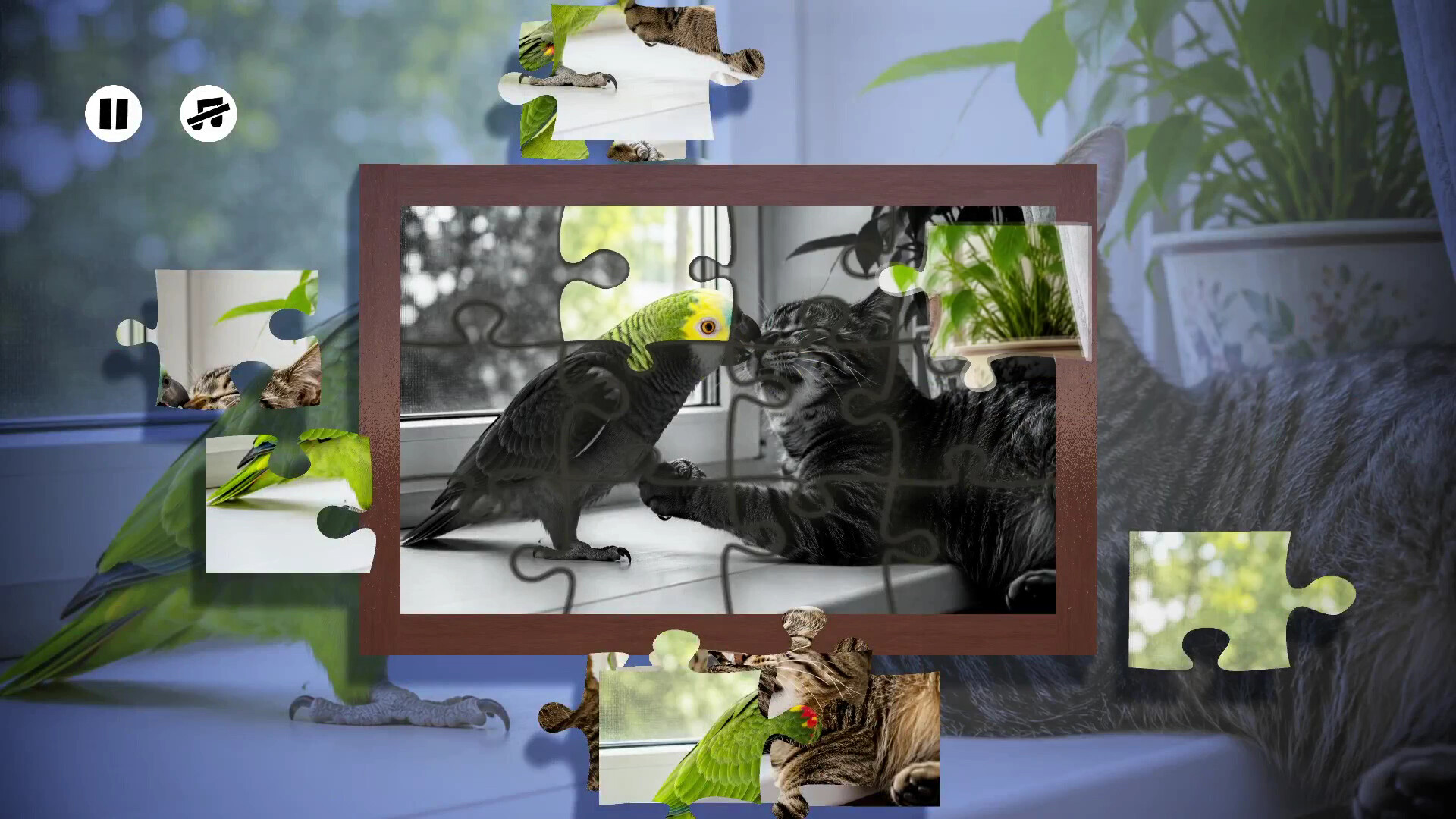 Puzzles Parrots screenshot 5