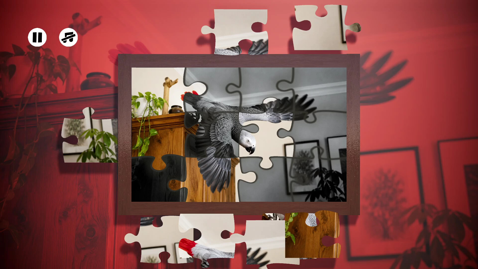 Puzzles Parrots trailer