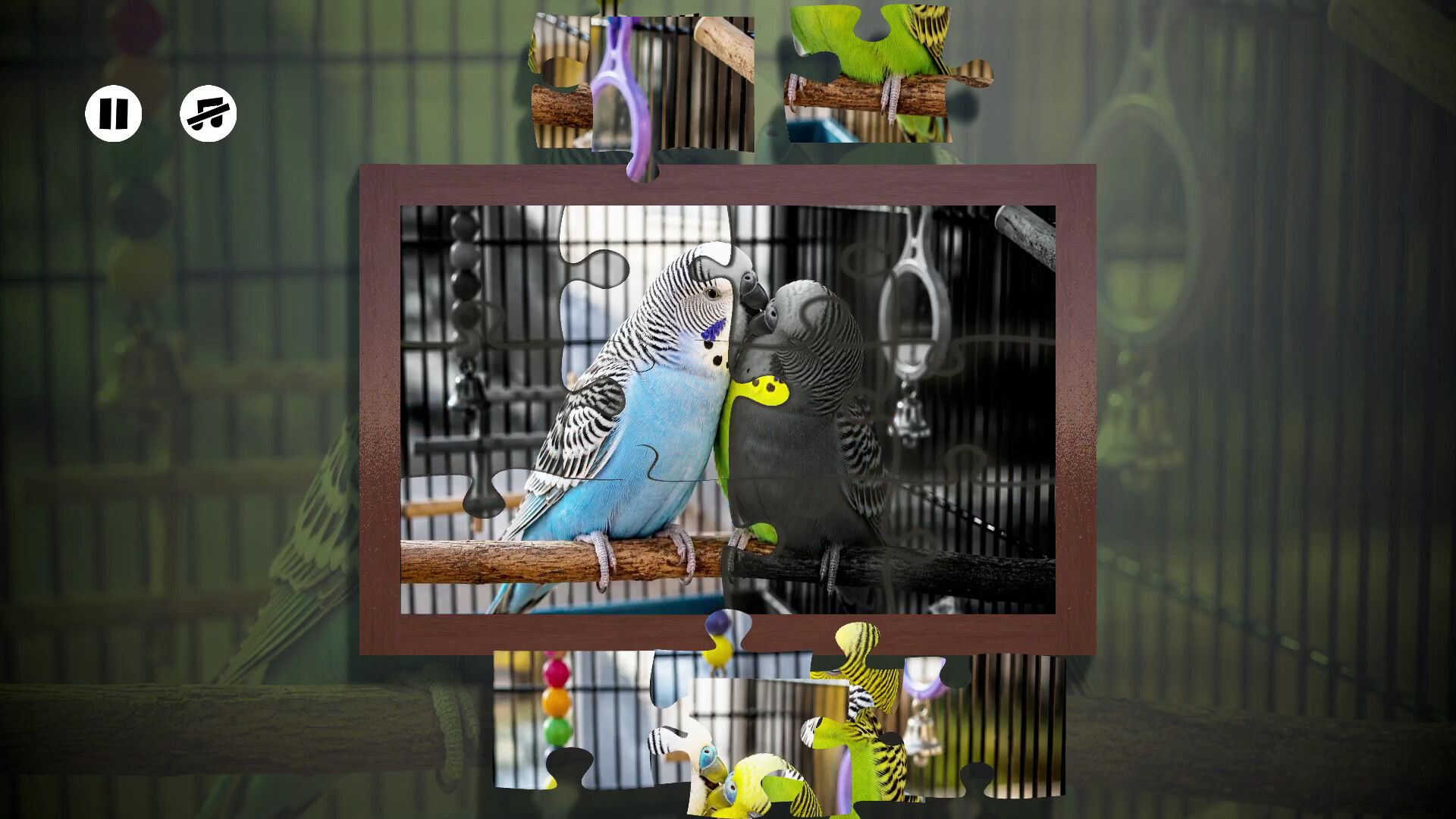 Puzzles Parrots screenshot 2