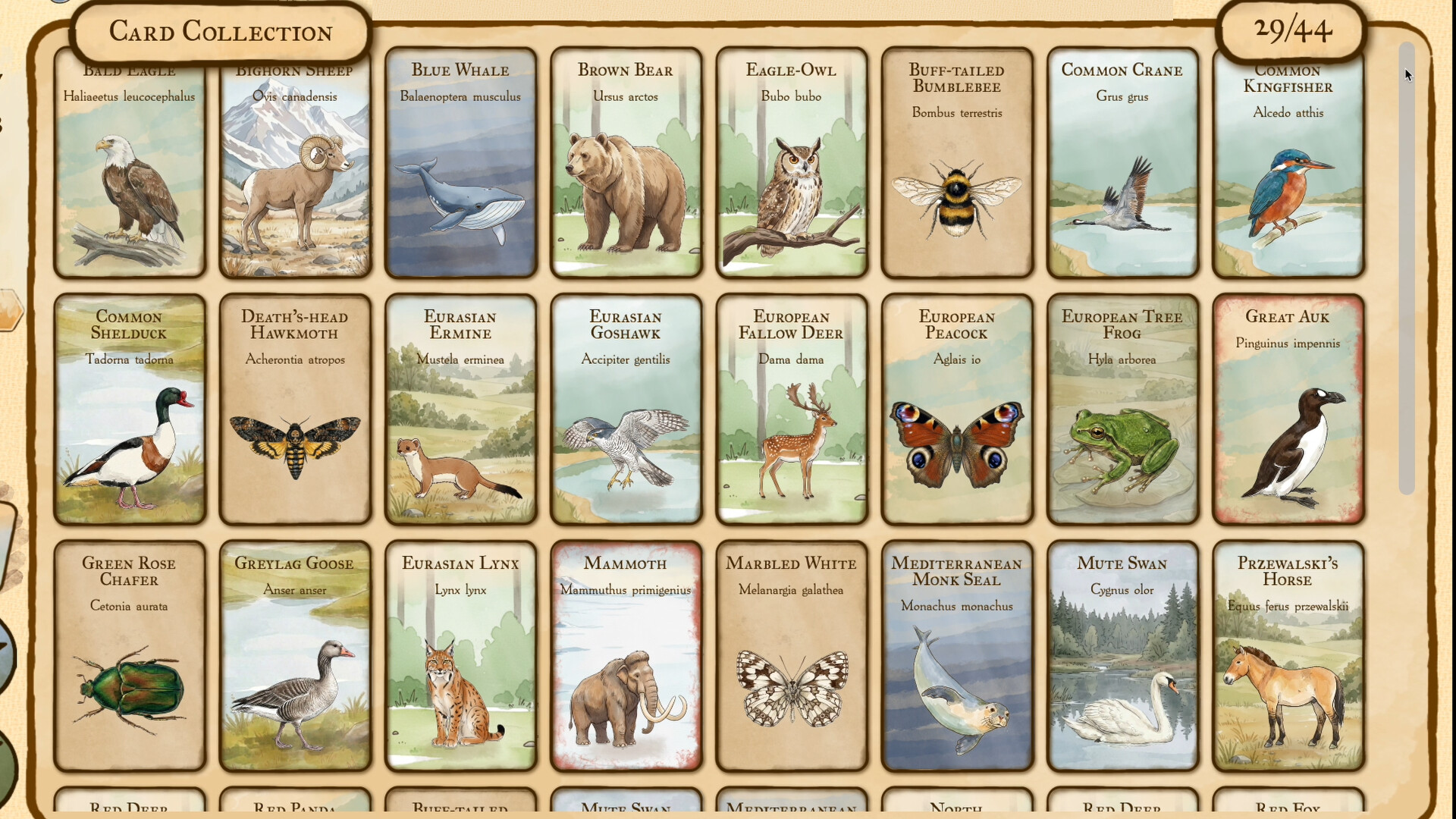 Wild Boar Digging screenshot 4