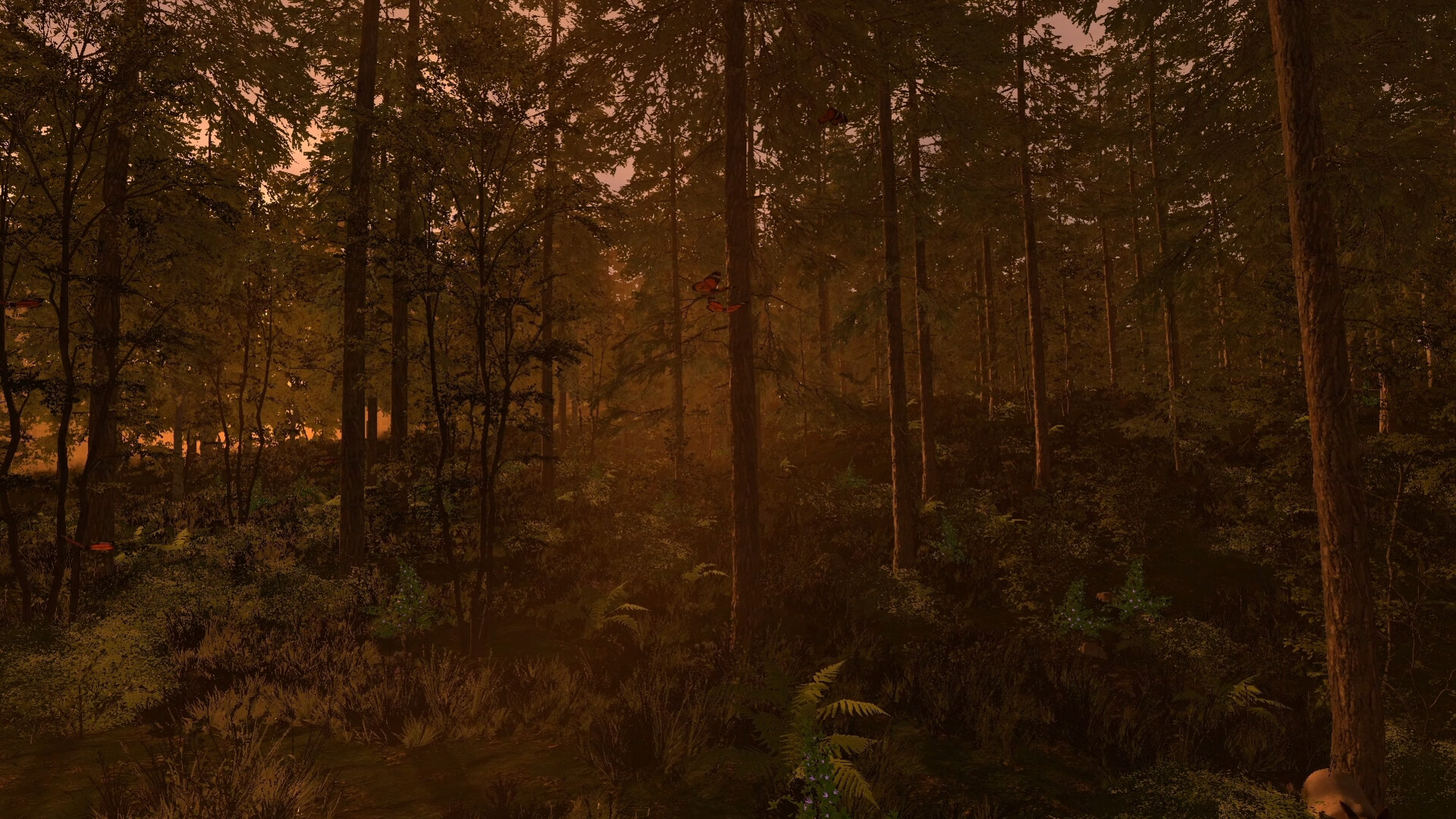 The Medieval Doctor screenshot 4