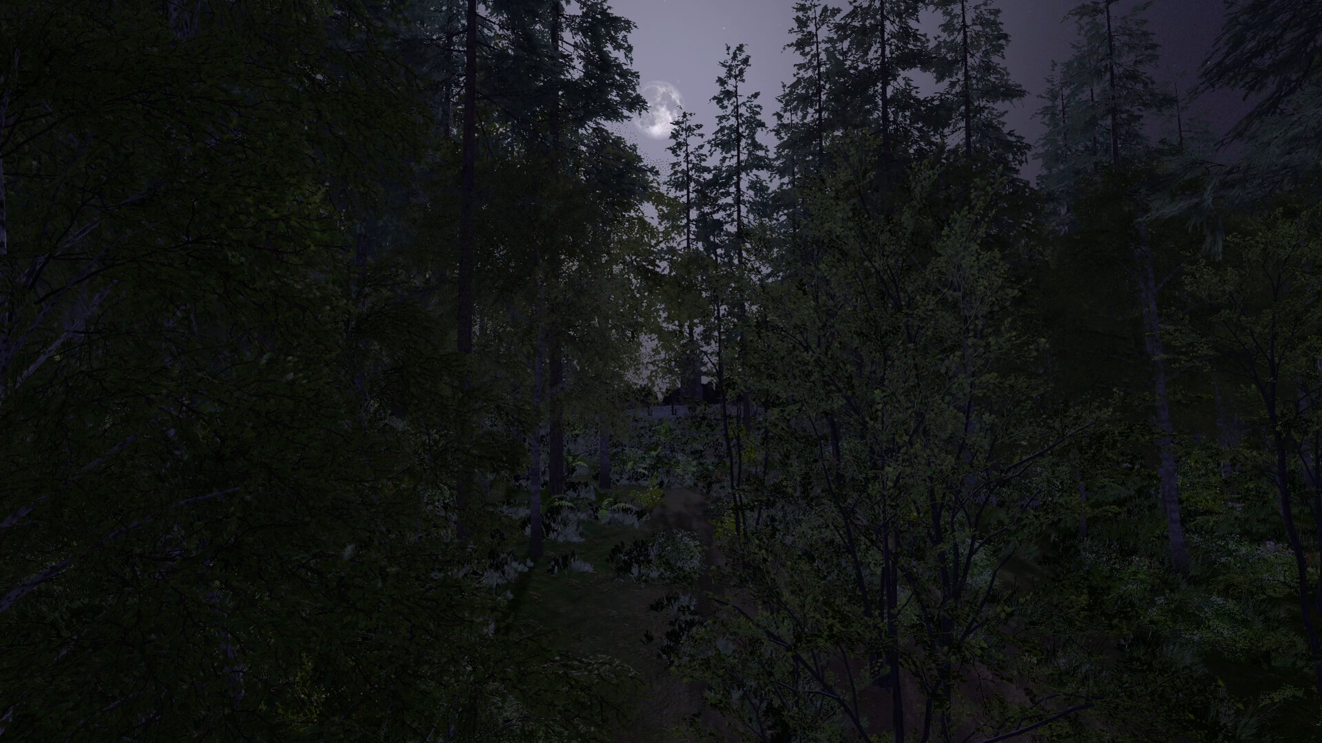 The Medieval Doctor screenshot 2