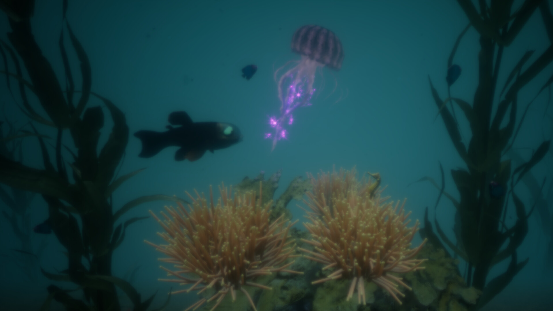 Aquavern screenshot 5