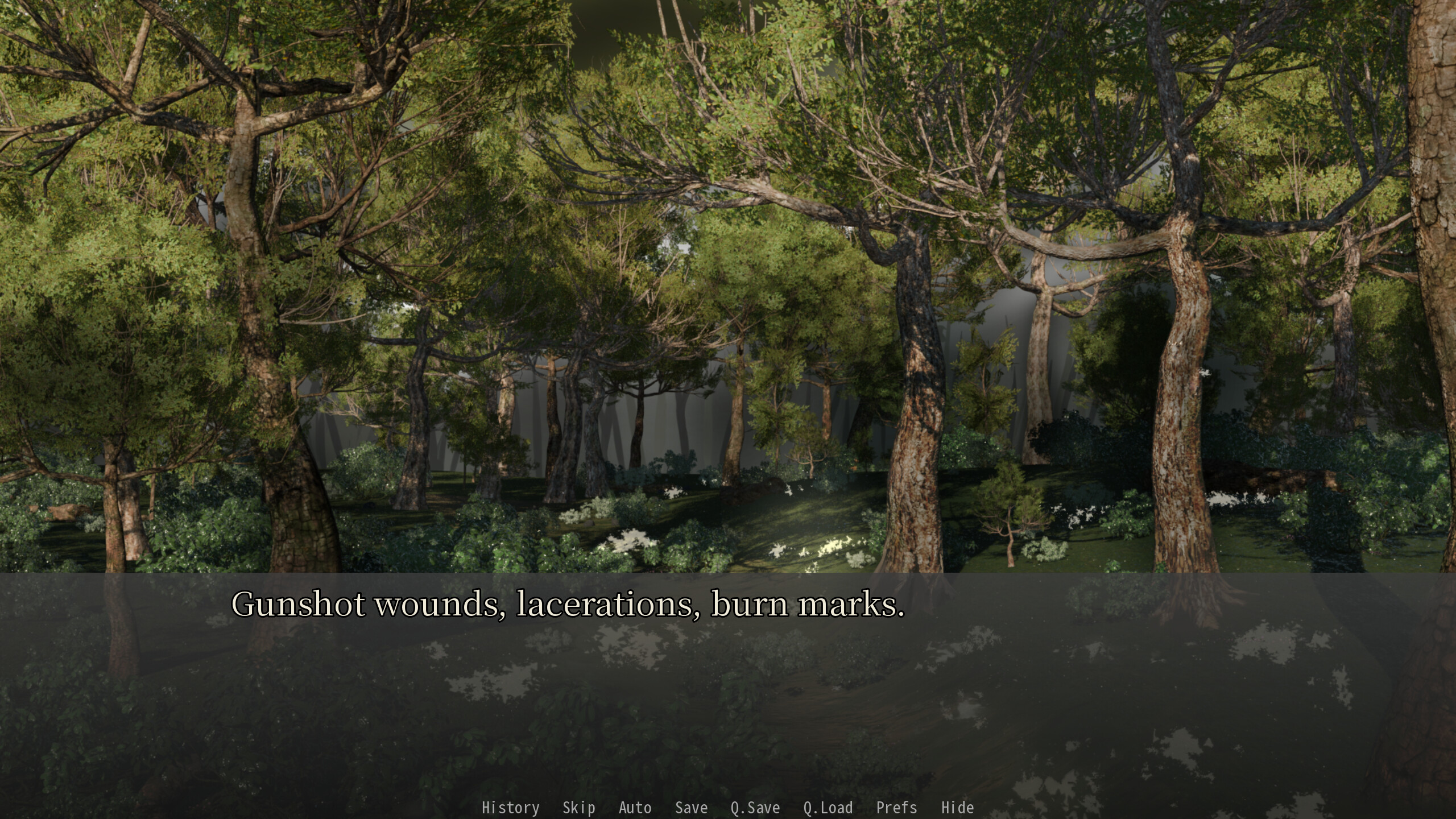 TORCH & TRIGGER screenshot 2