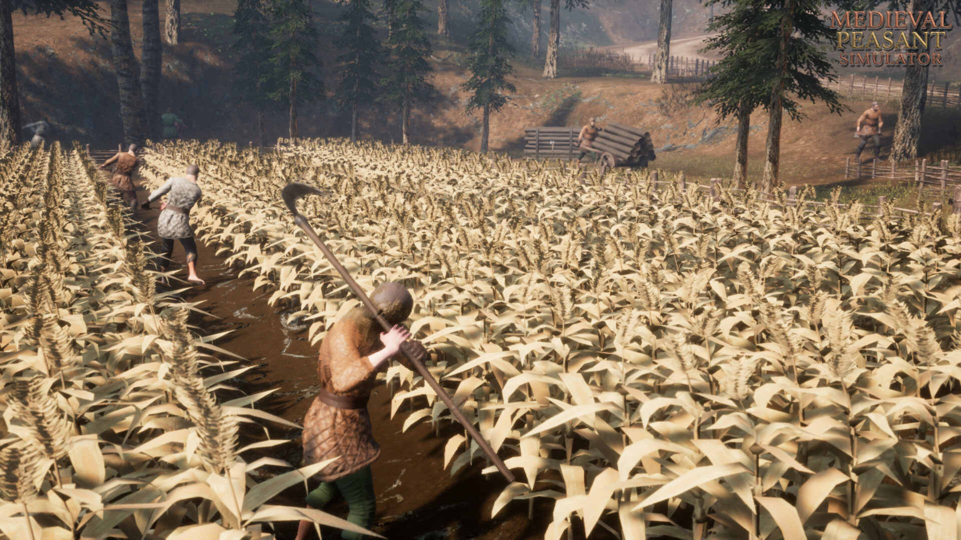 Medieval Peasant Simulator screenshot 3