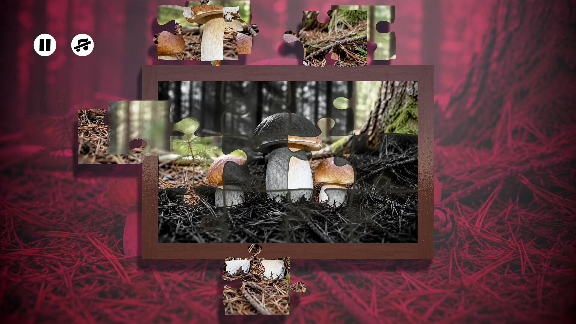 Puzzles Mushroom trailer