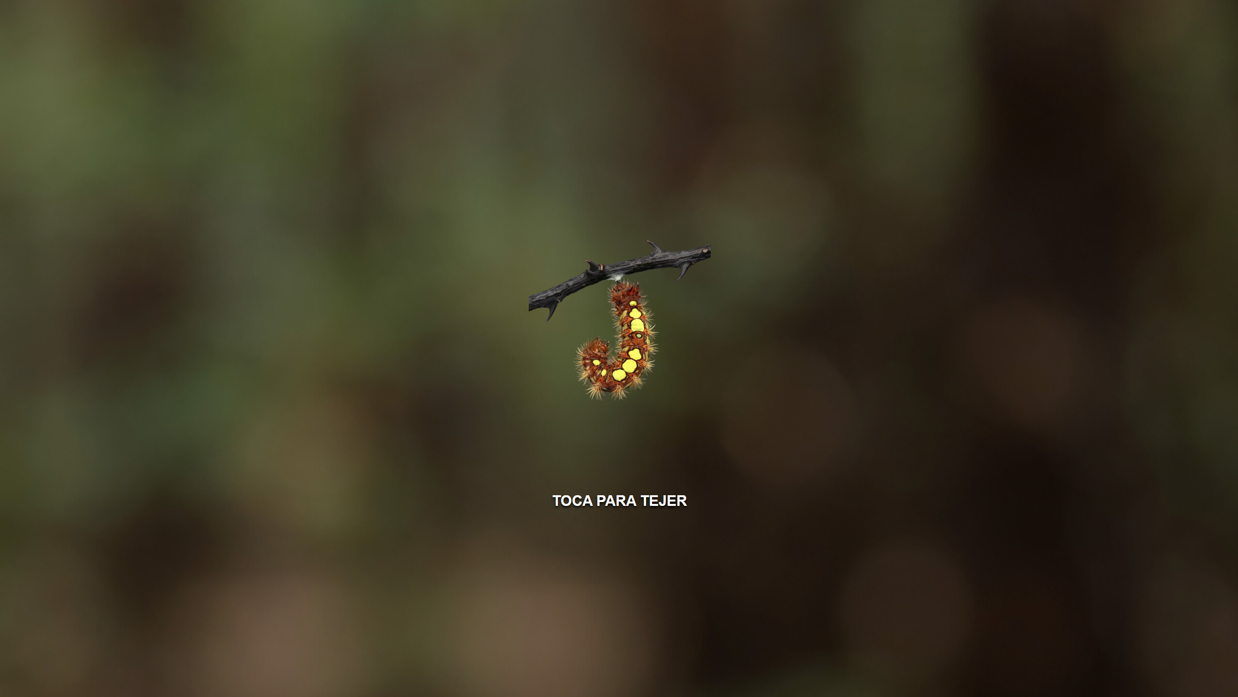 Butterfly Project screenshot 4