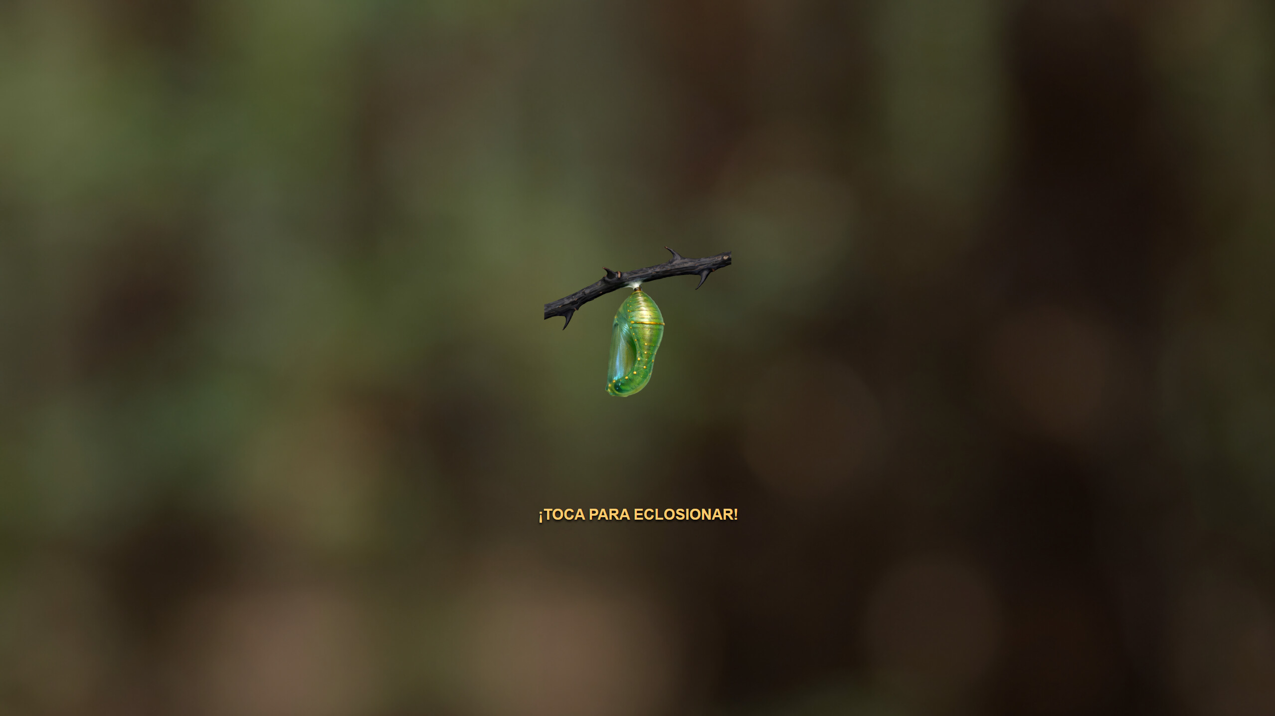 Butterfly Project screenshot 5