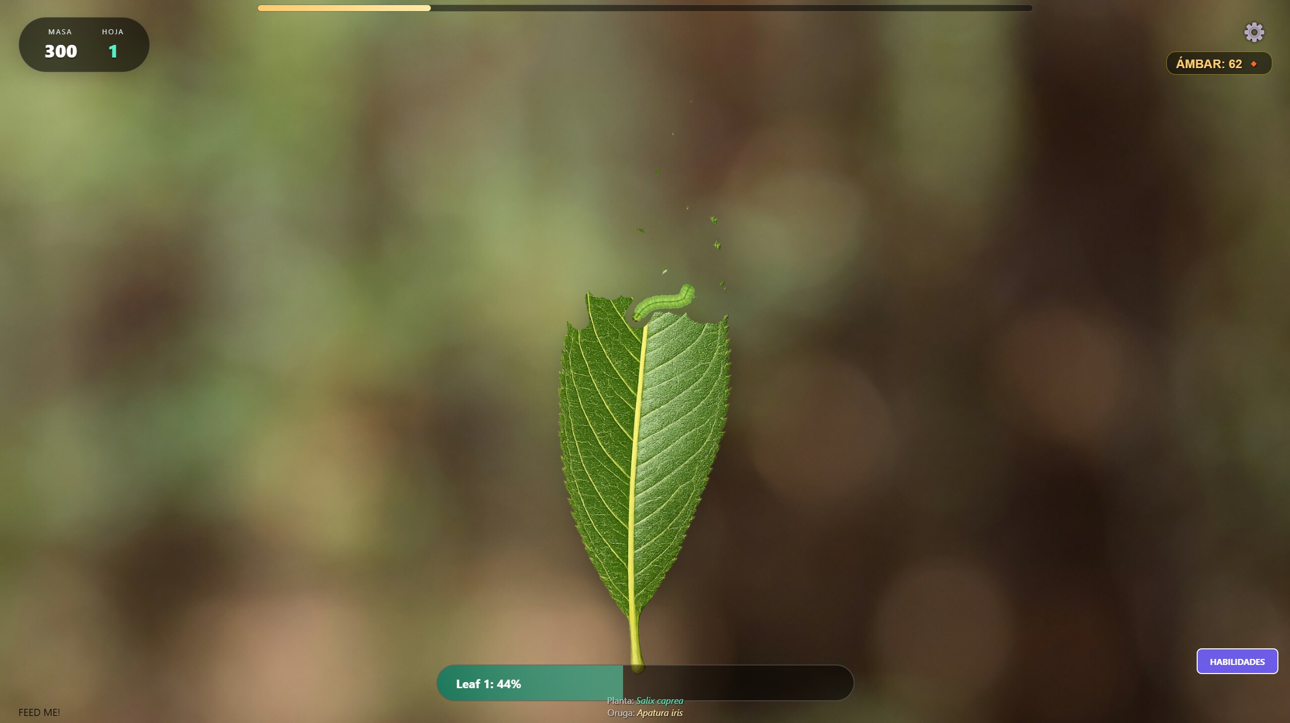 Butterfly Project screenshot 3