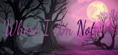 Cover art from Where I am Not