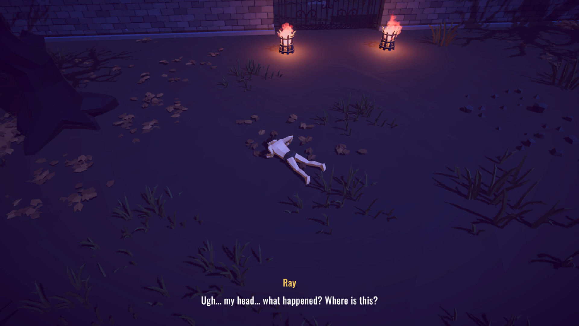 Debtrize screenshot 3
