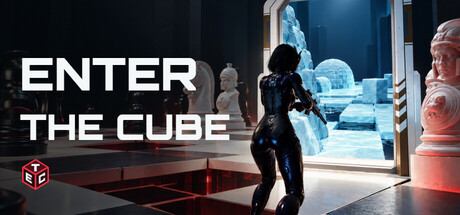 Cover art from Enter the Cube