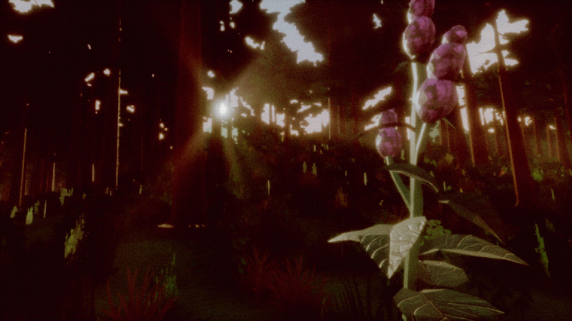 Arborrosa Insidia screenshot 3