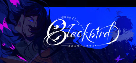 Cover art from 看黑鸟的十三种方式