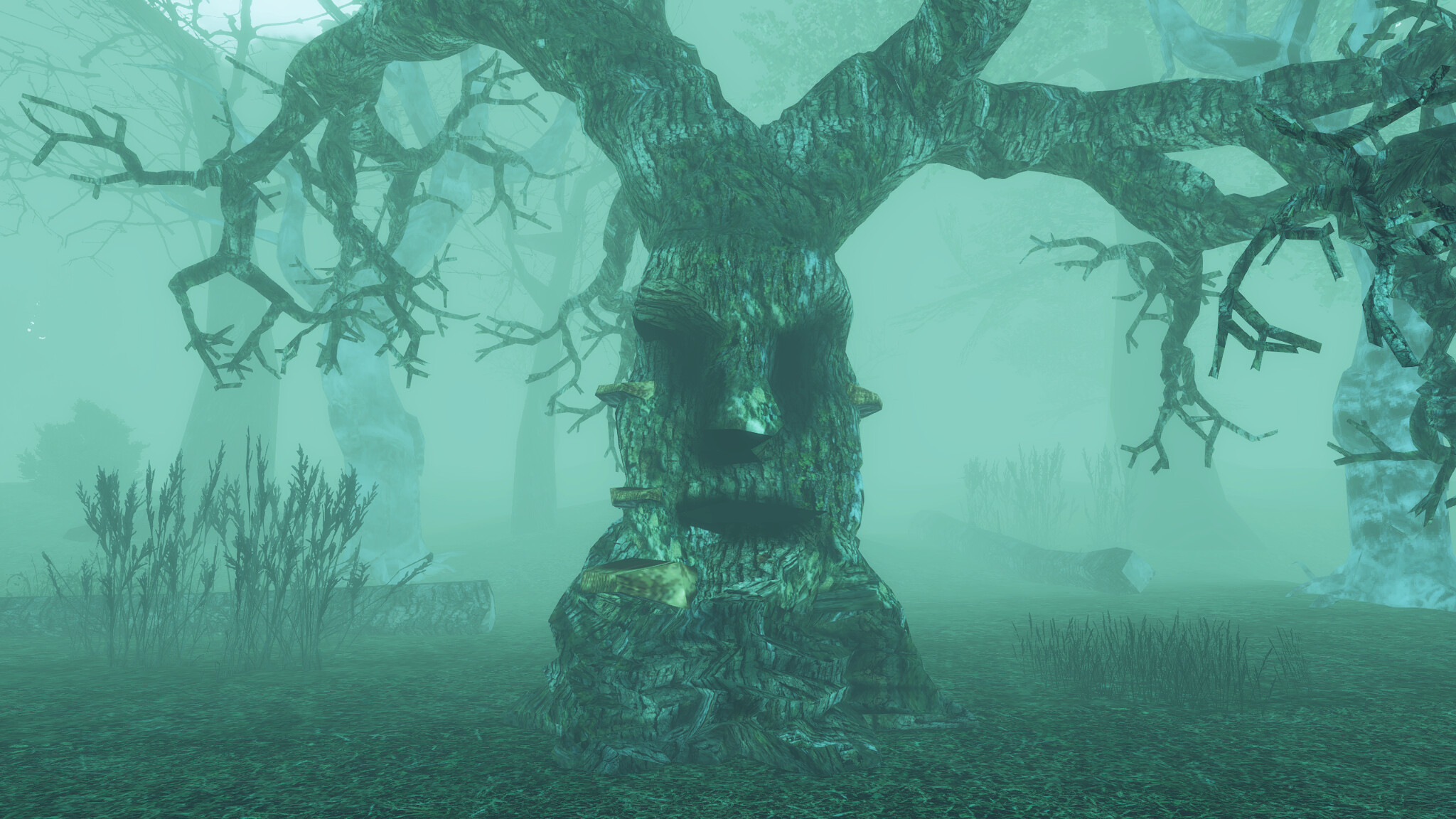 I Hear the Forest screenshot 3