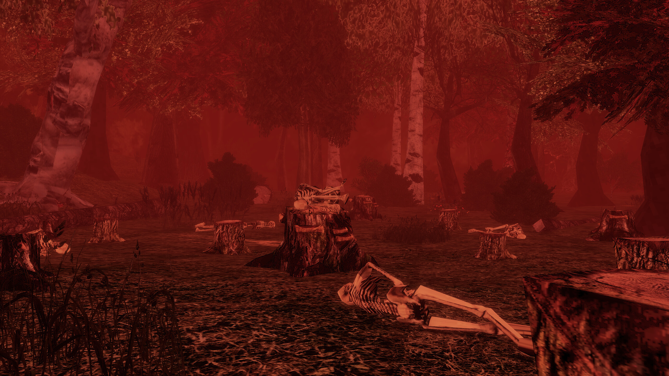 I Hear the Forest screenshot 2