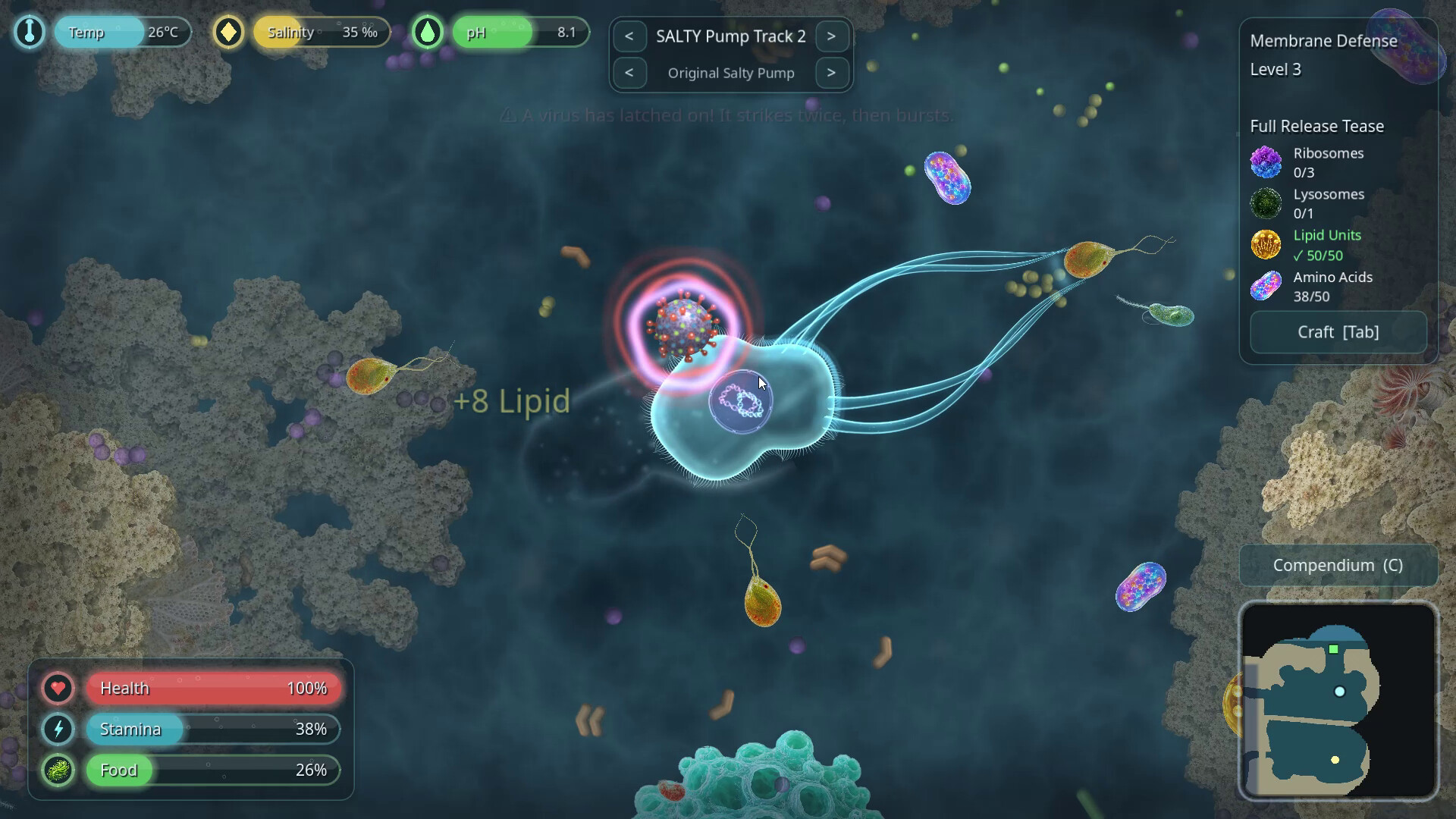 Salty: Evolution Simulator trailer
