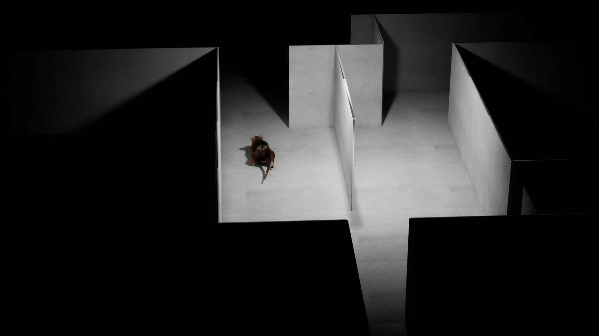 I Keep Reincarnating as a Rat in the Mad Scientist’s Maze screenshot 5
