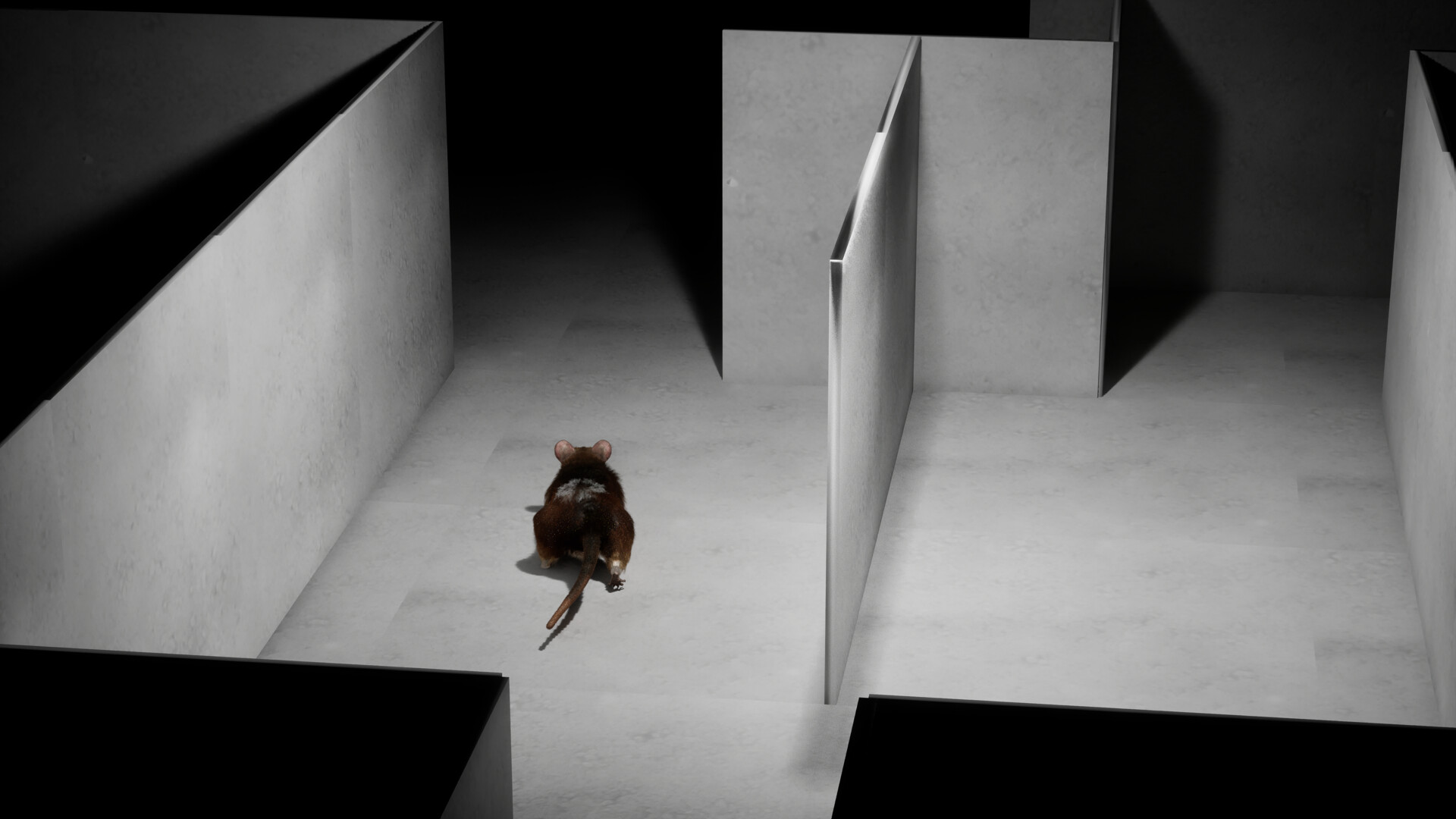I Keep Reincarnating as a Rat in the Mad Scientist’s Maze screenshot 2