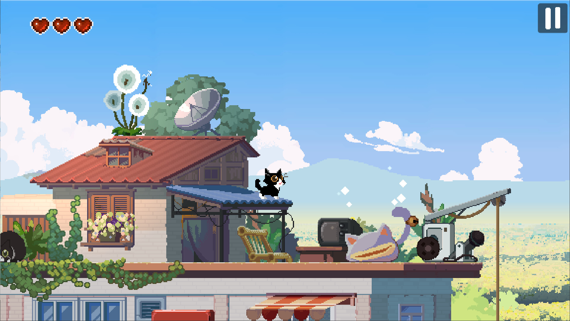 TONGTONG：Little Kitty ,big adventure trailer