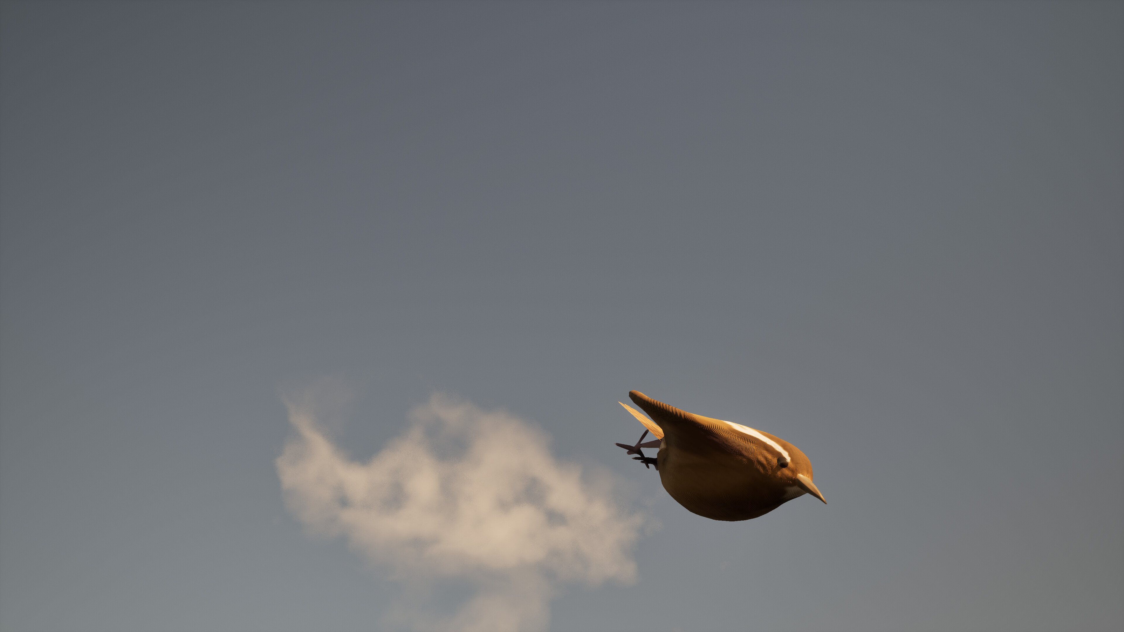 Pro Birder screenshot 3