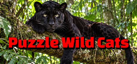 Cover art from Puzzle Wild Cats