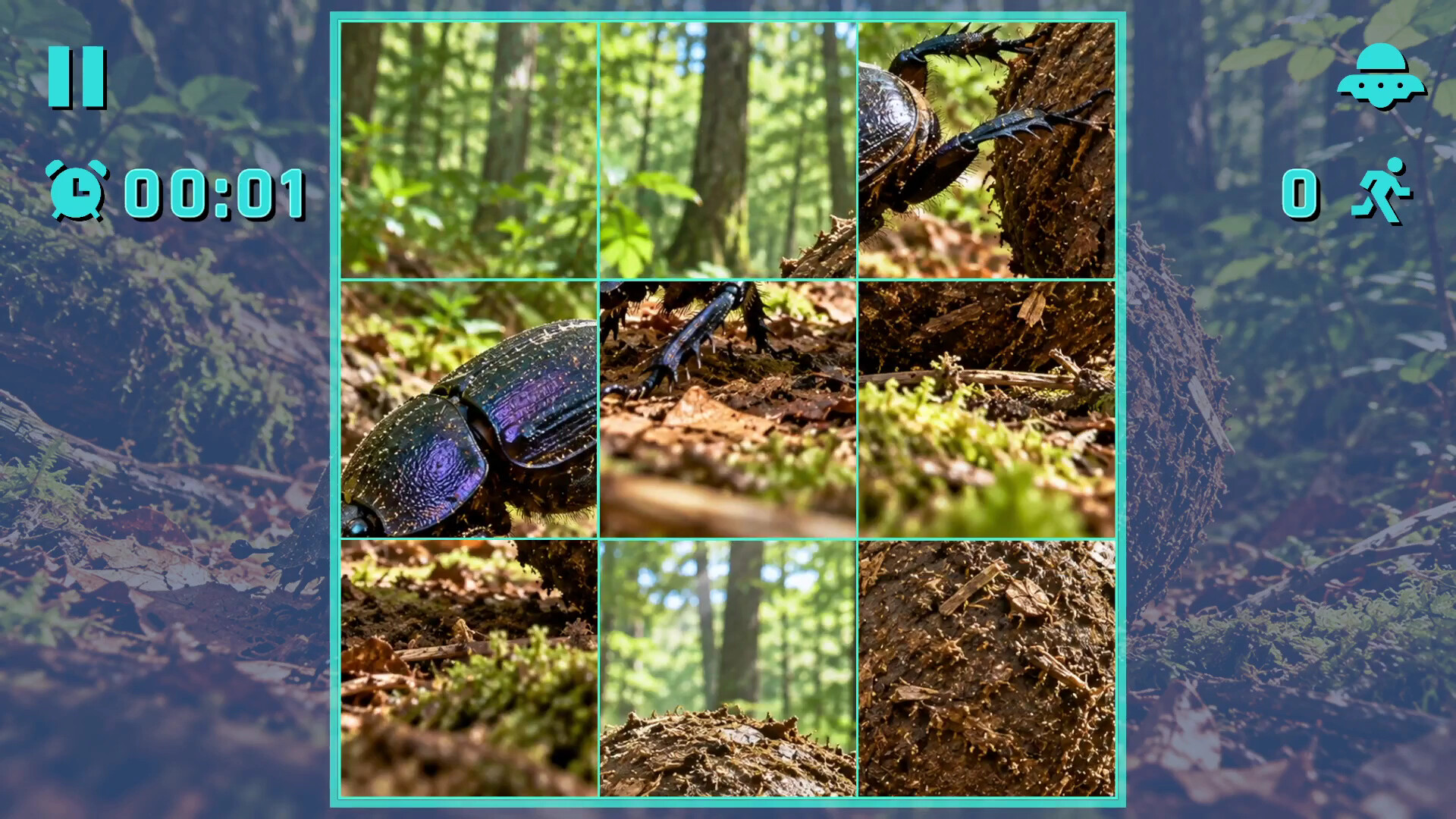 Puzzle Beetles screenshot 5