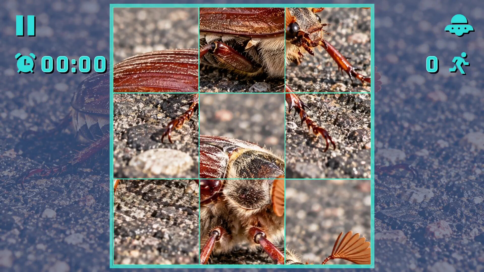 Puzzle Beetles screenshot 3