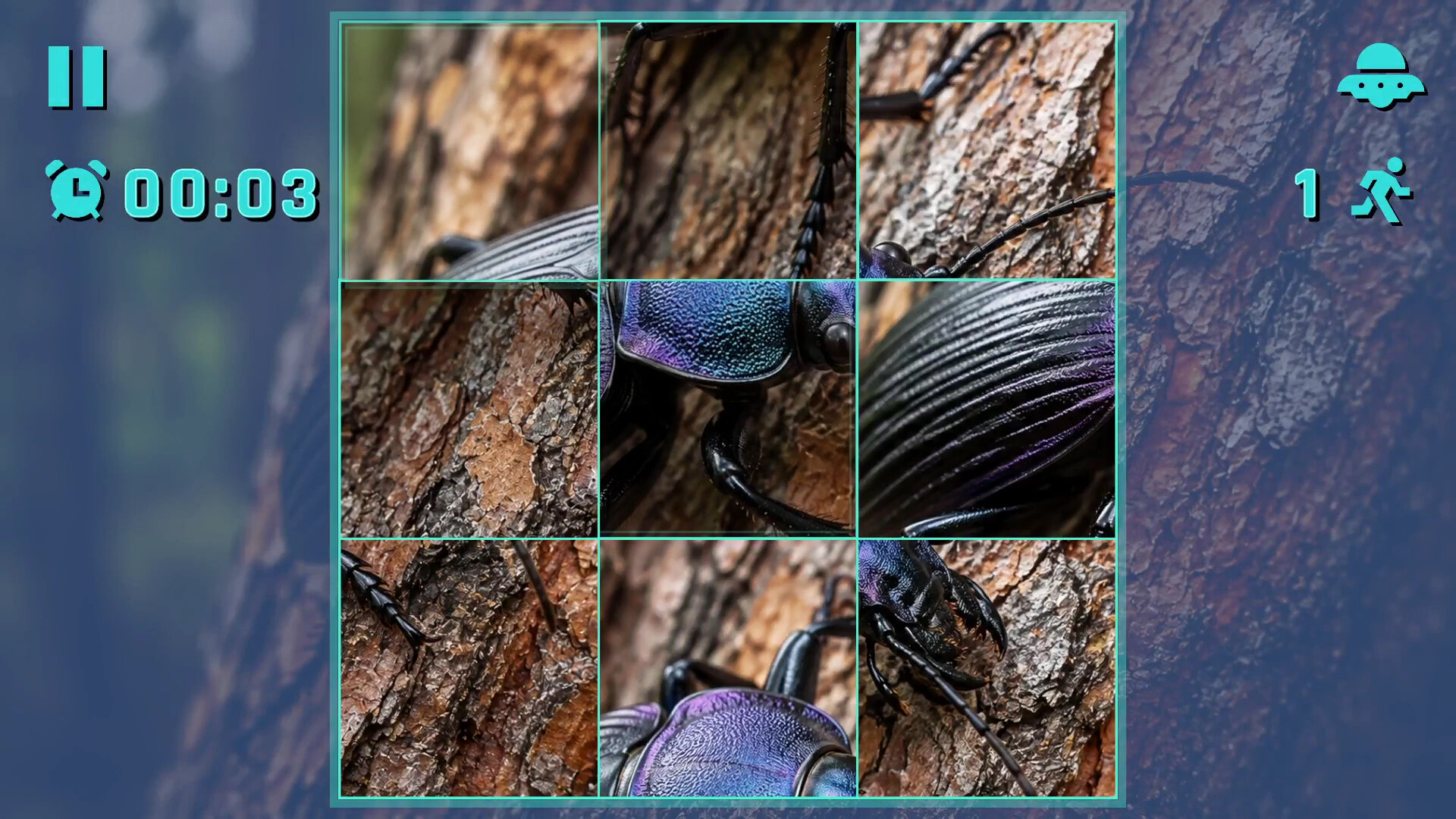 Puzzle Beetles screenshot 4