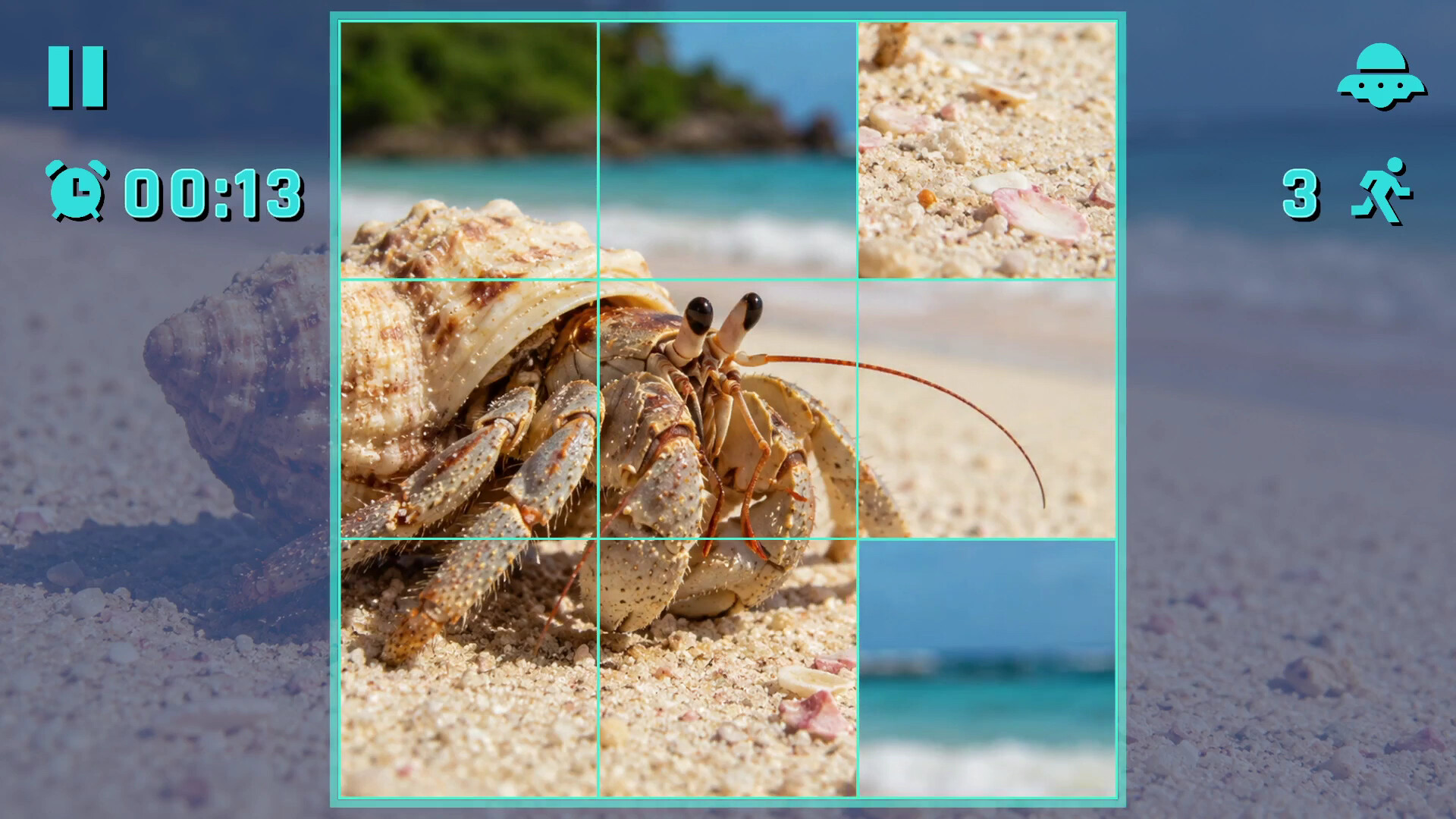 Puzzle Crustaceans trailer