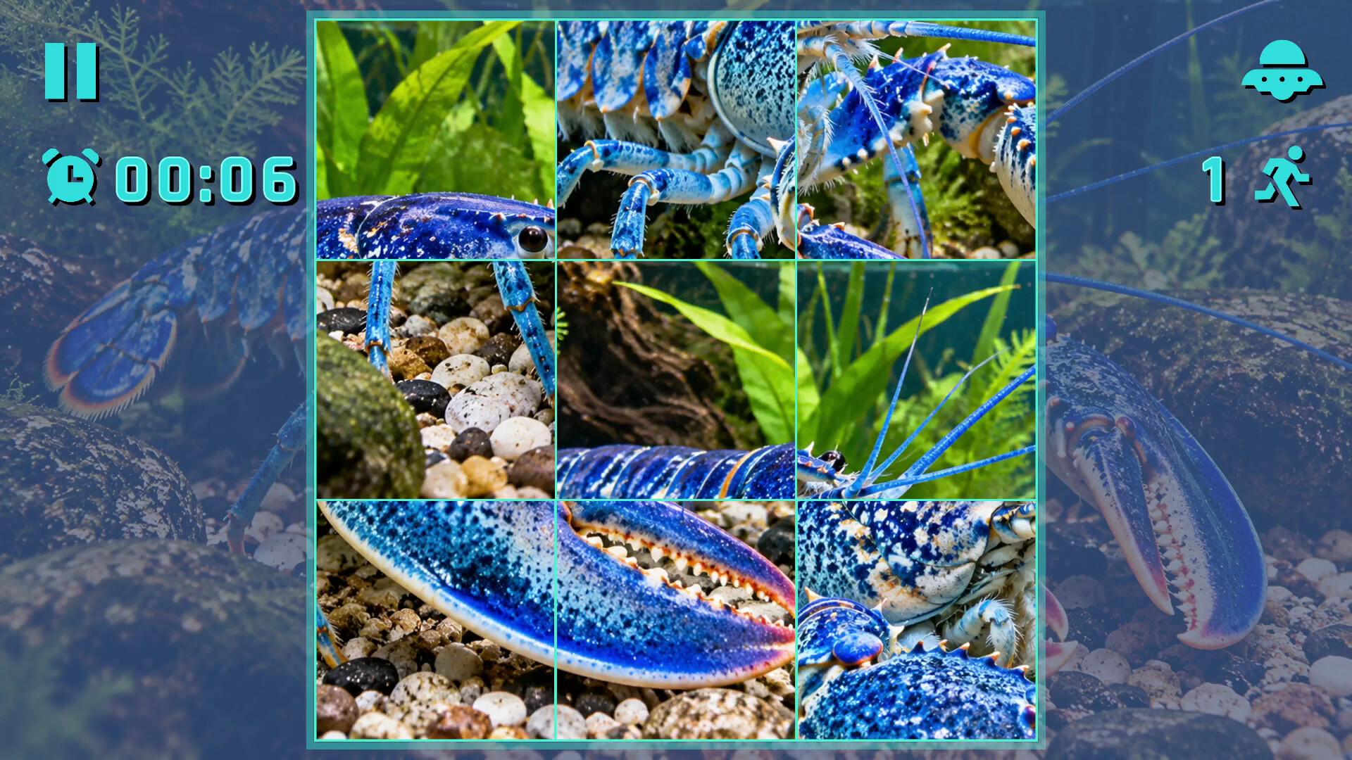 Puzzle Crustaceans screenshot 2