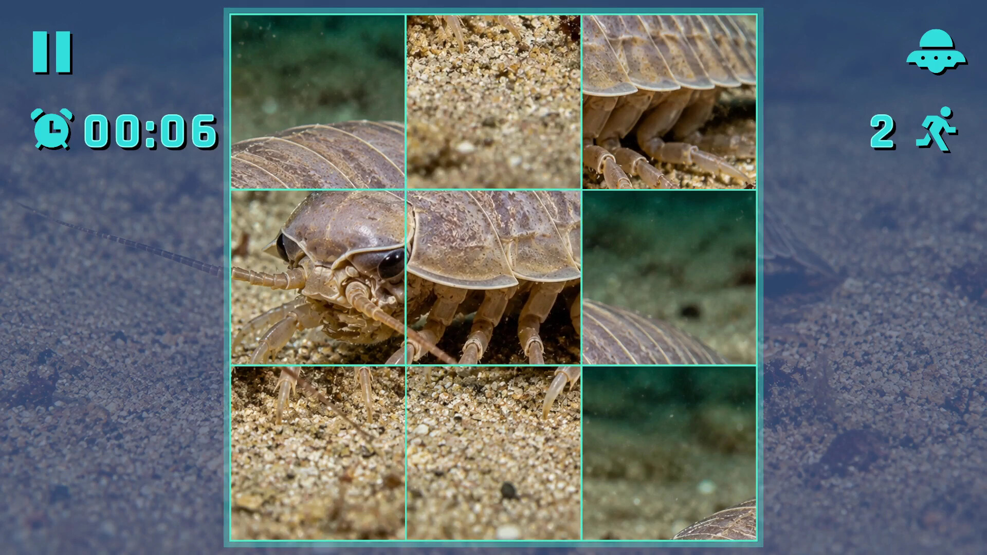 Puzzle Crustaceans screenshot 4