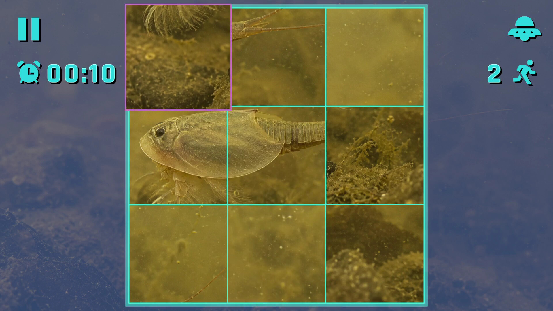 Puzzle Crustaceans screenshot 3